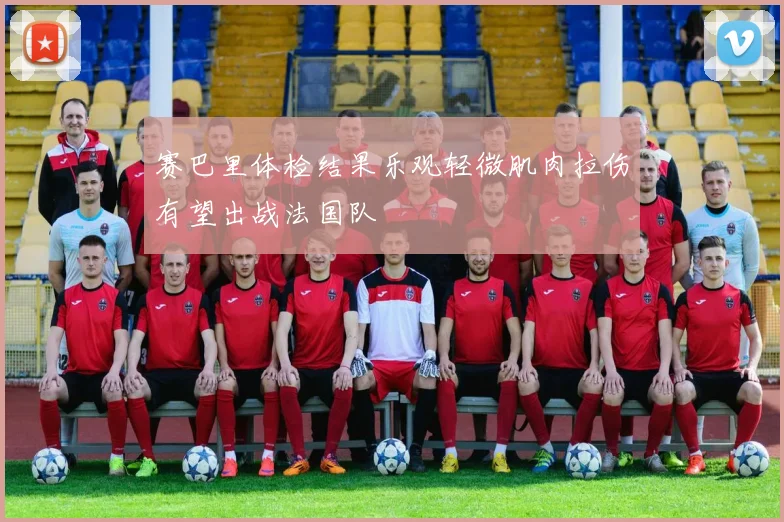 赛巴里体检结果乐观轻微肌肉拉伤有望出战法国队